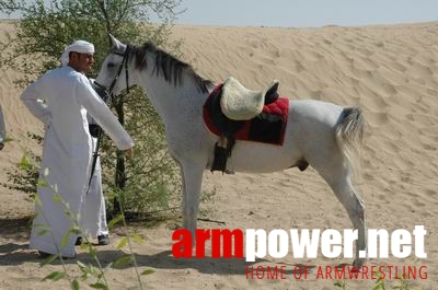 Vendetta in Dubai - preparing # Armwrestling # Armpower.net