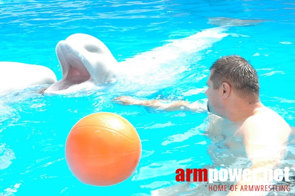 Vendetta Yalta - Swimming Pool # Armwrestling # Armpower.net