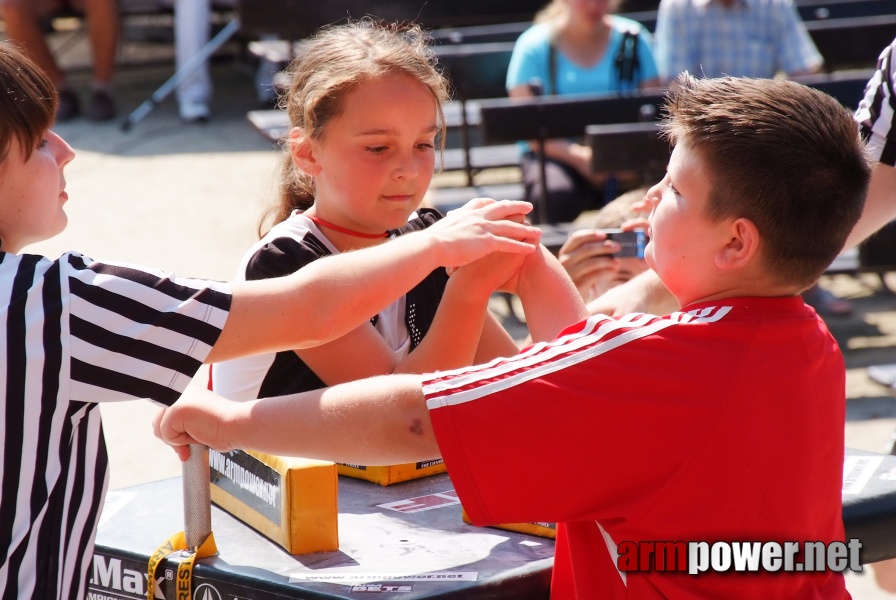 Ciechocinek 2011 # Siłowanie na ręce # Armwrestling # Armpower.net