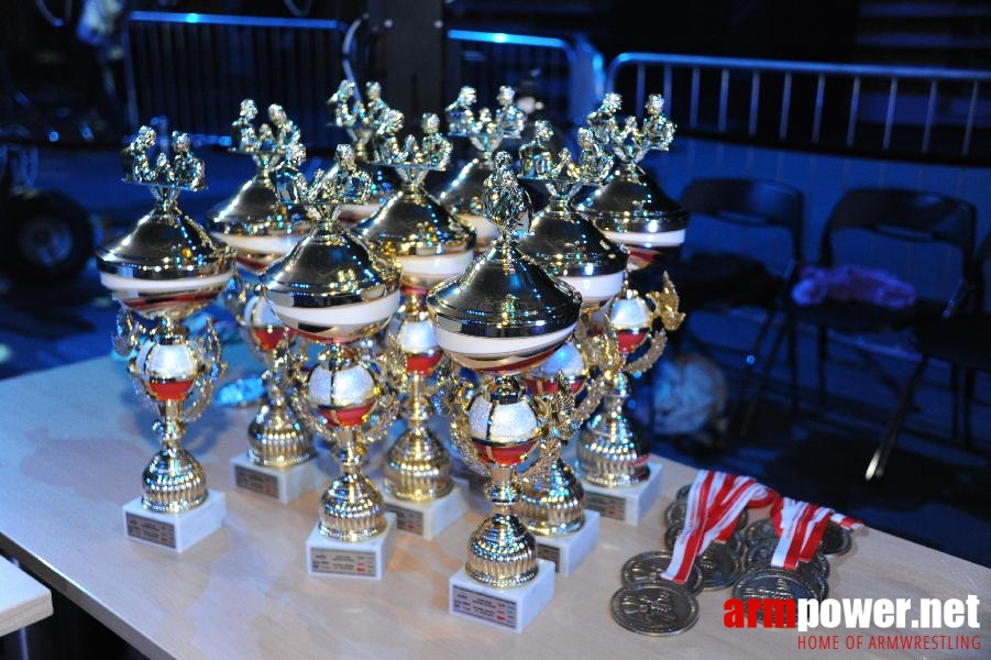 World Armwrestling Championship 2013 - photo: Irina # Aрмспорт # Armsport # Armpower.net