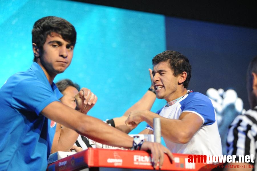 World Armwrestling Championship 2013 - photo: Irina # Armwrestling # Armpower.net