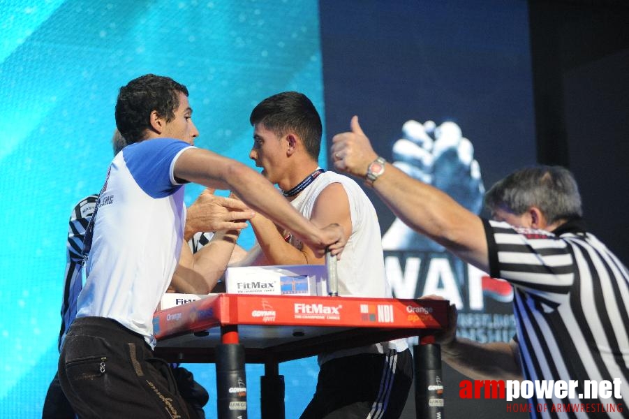 World Armwrestling Championship 2013 - photo: Irina # Aрмспорт # Armsport # Armpower.net