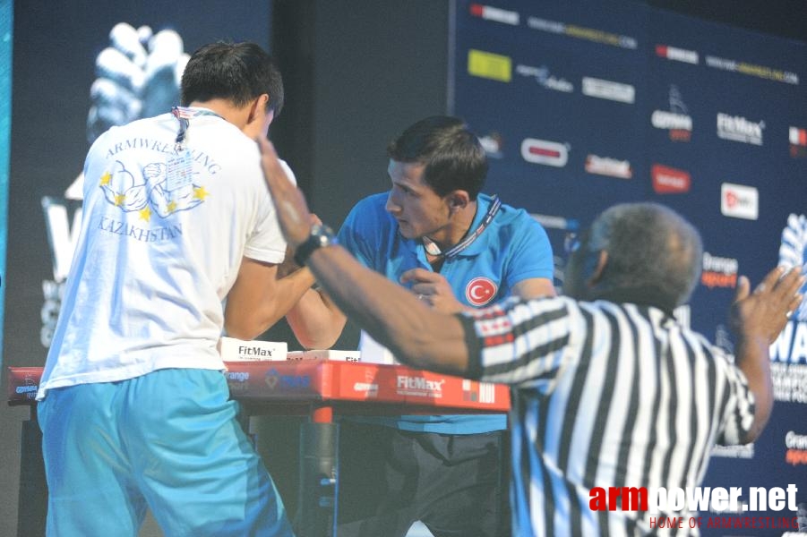 World Armwrestling Championship 2013 - photo: Irina # Armwrestling # Armpower.net