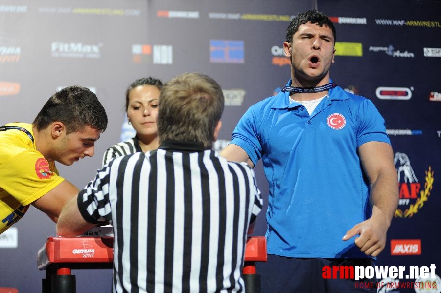 World Armwrestling Championship 2013 - photo: Irina # Armwrestling # Armpower.net