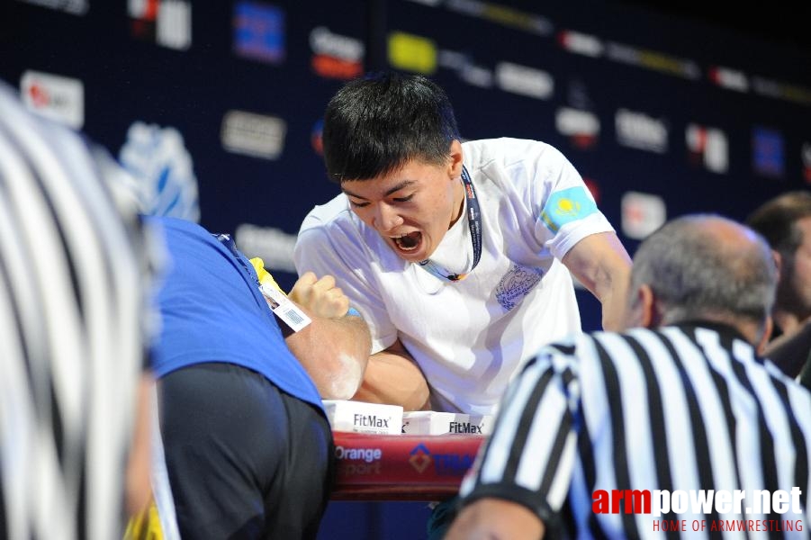 World Armwrestling Championship 2013 - photo: Irina # Aрмспорт # Armsport # Armpower.net