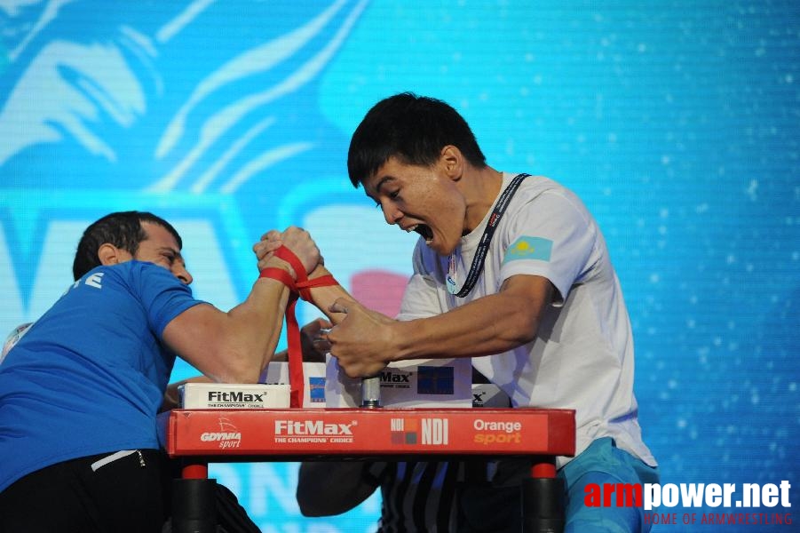 World Armwrestling Championship 2013 - photo: Irina # Armwrestling # Armpower.net