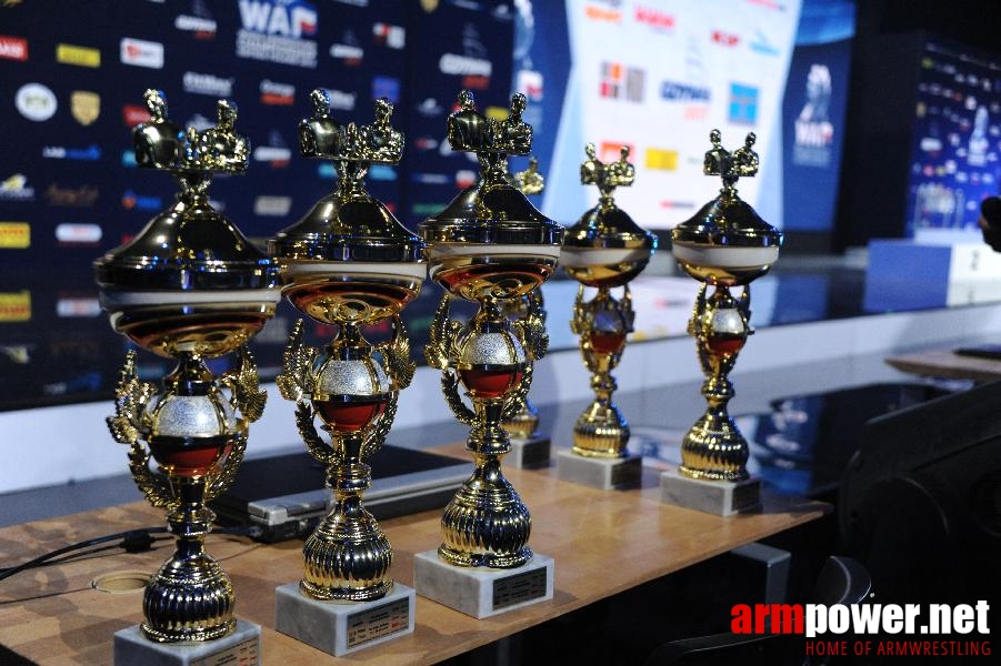 World Armwrestling Championship 2013 - photo: Irina # Aрмспорт # Armsport # Armpower.net