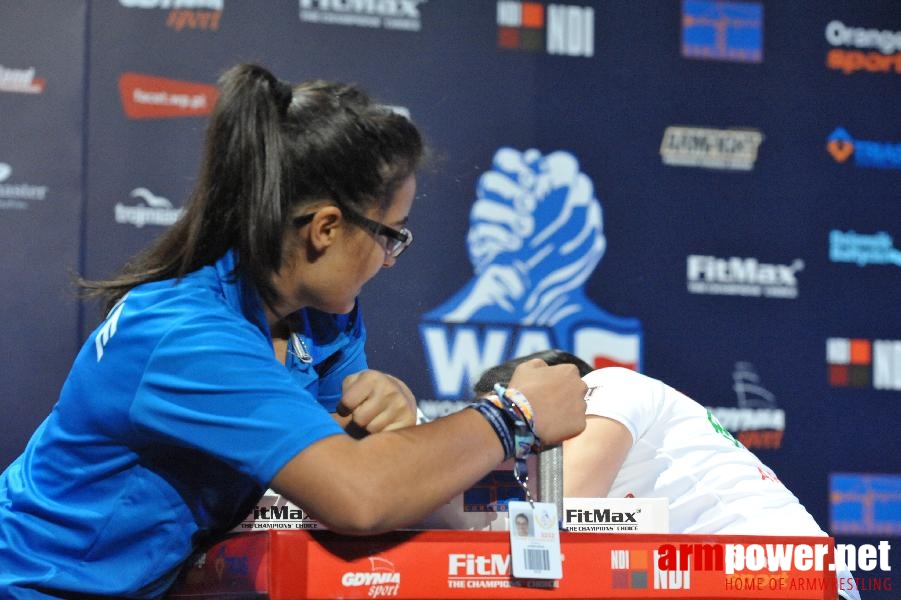 World Armwrestling Championship 2013 - day 1 - photo: Mirek # Aрмспорт # Armsport # Armpower.net