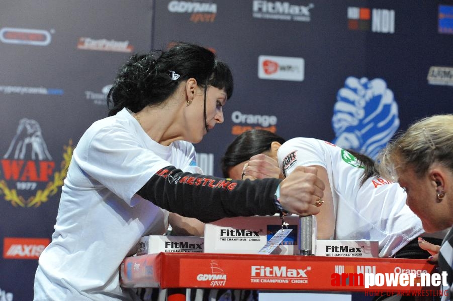 World Armwrestling Championship 2013 - day 1 - photo: Mirek # Armwrestling # Armpower.net