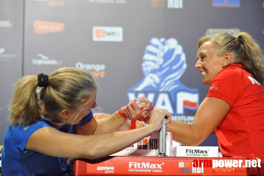 World Armwrestling Championship 2013 - day 1 - photo: Mirek # Aрмспорт # Armsport # Armpower.net