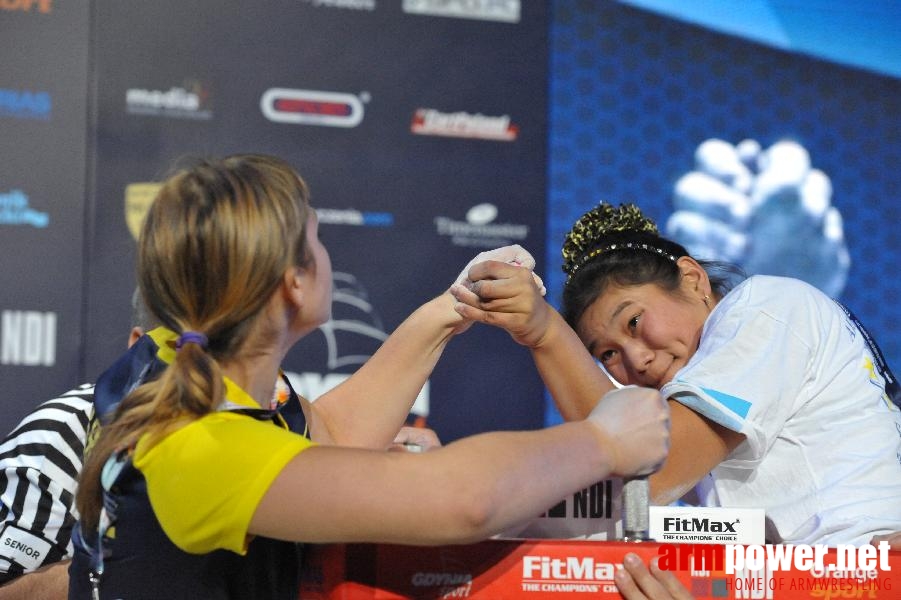 World Armwrestling Championship 2013 - day 1 - photo: Mirek # Aрмспорт # Armsport # Armpower.net