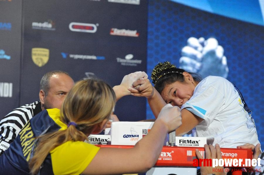 World Armwrestling Championship 2013 - day 1 - photo: Mirek # Armwrestling # Armpower.net