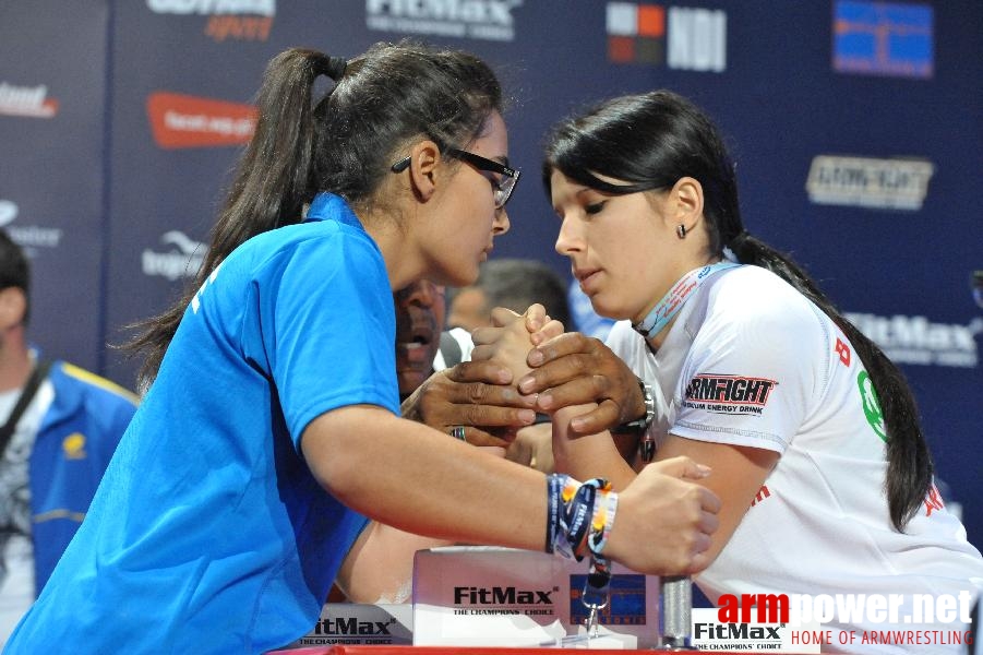 World Armwrestling Championship 2013 - day 1 - photo: Mirek # Aрмспорт # Armsport # Armpower.net