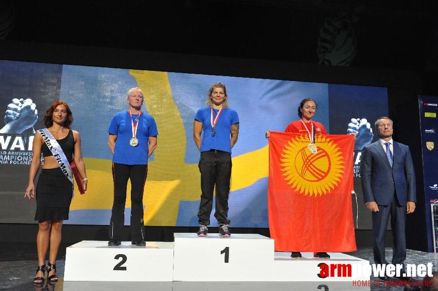 World Armwrestling Championship 2013 - day 1 - photo: Mirek # Aрмспорт # Armsport # Armpower.net