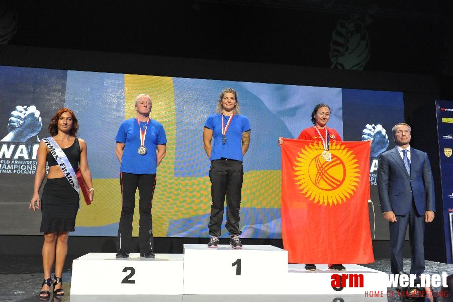 World Armwrestling Championship 2013 - day 1 - photo: Mirek # Aрмспорт # Armsport # Armpower.net