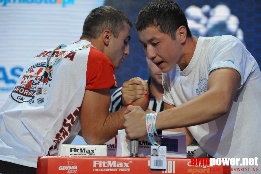 World Armwrestling Championship 2013 - day 2 - photo: Mirek # Aрмспорт # Armsport # Armpower.net