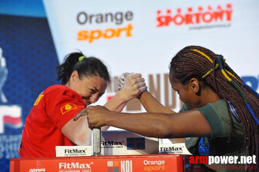 World Armwrestling Championship 2013 - day 2 - photo: Mirek # Aрмспорт # Armsport # Armpower.net