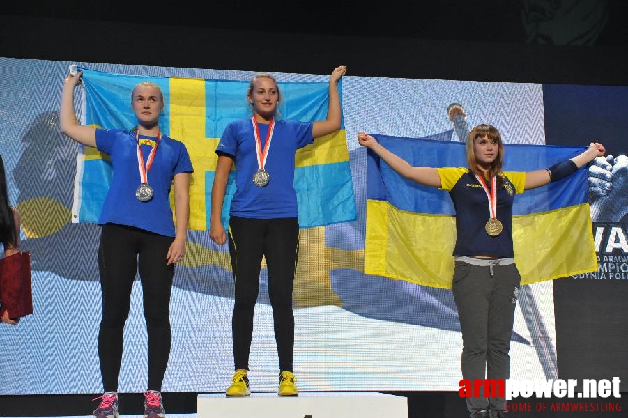 World Armwrestling Championship 2013 - day 2 - photo: Mirek # Aрмспорт # Armsport # Armpower.net