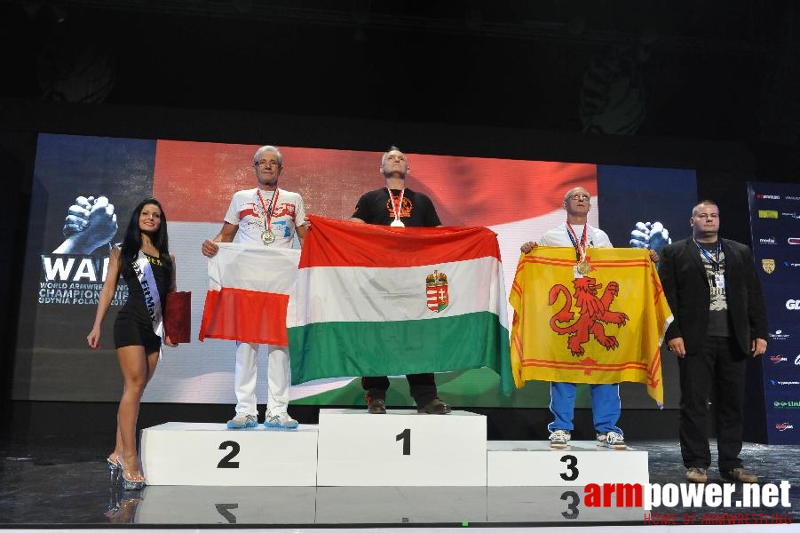 World Armwrestling Championship 2013 - day 2 - photo: Mirek # Aрмспорт # Armsport # Armpower.net