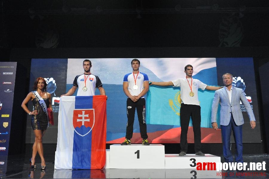 World Armwrestling Championship 2013 - day 3 - photo: Mirek # Aрмспорт # Armsport # Armpower.net