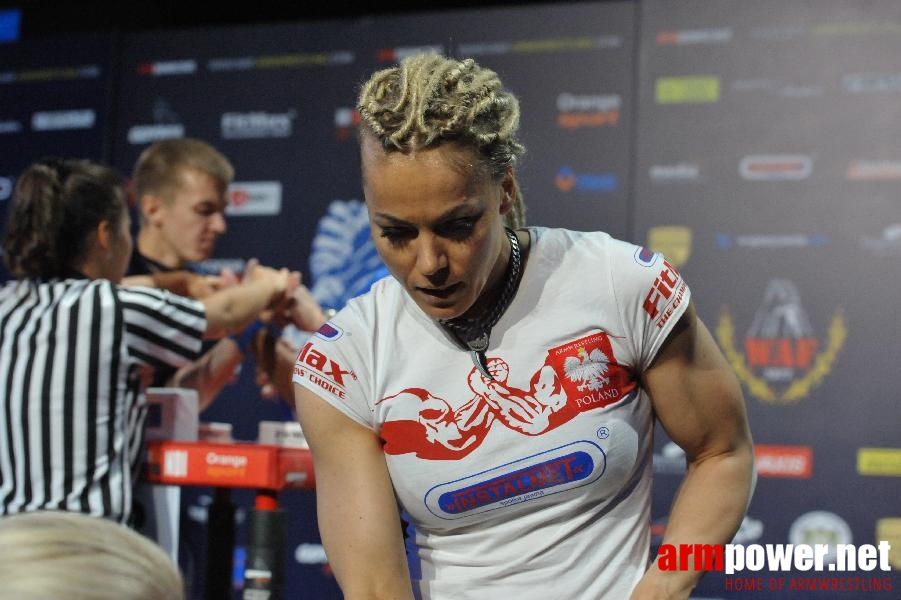 World Armwrestling Championship 2013 - day 3 - photo: Mirek # Armwrestling # Armpower.net