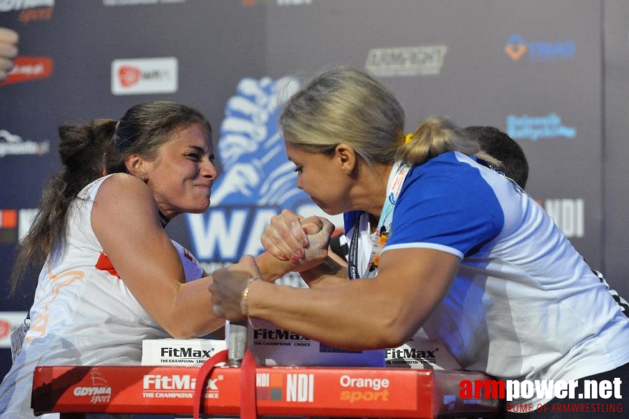 World Armwrestling Championship 2013 - day 4 - photo: Mirek # Aрмспорт # Armsport # Armpower.net