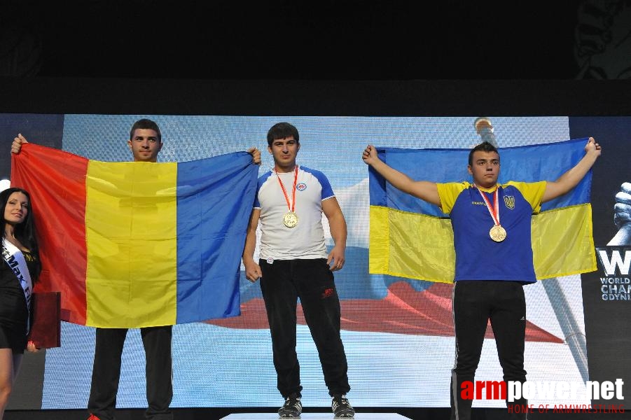 World Armwrestling Championship 2013 - day 4 - photo: Mirek # Siłowanie na ręce # Armwrestling # Armpower.net